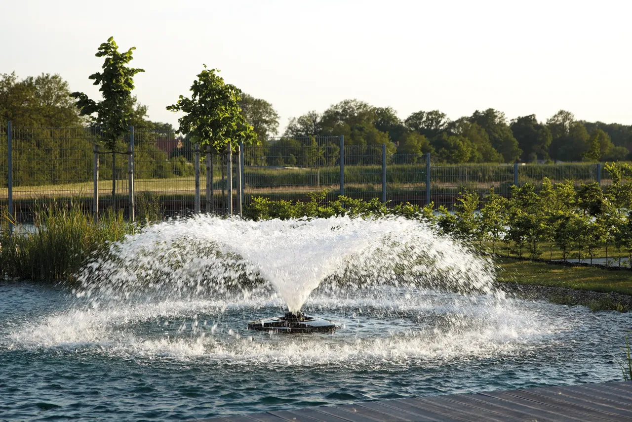 Bestrijden blauwalg